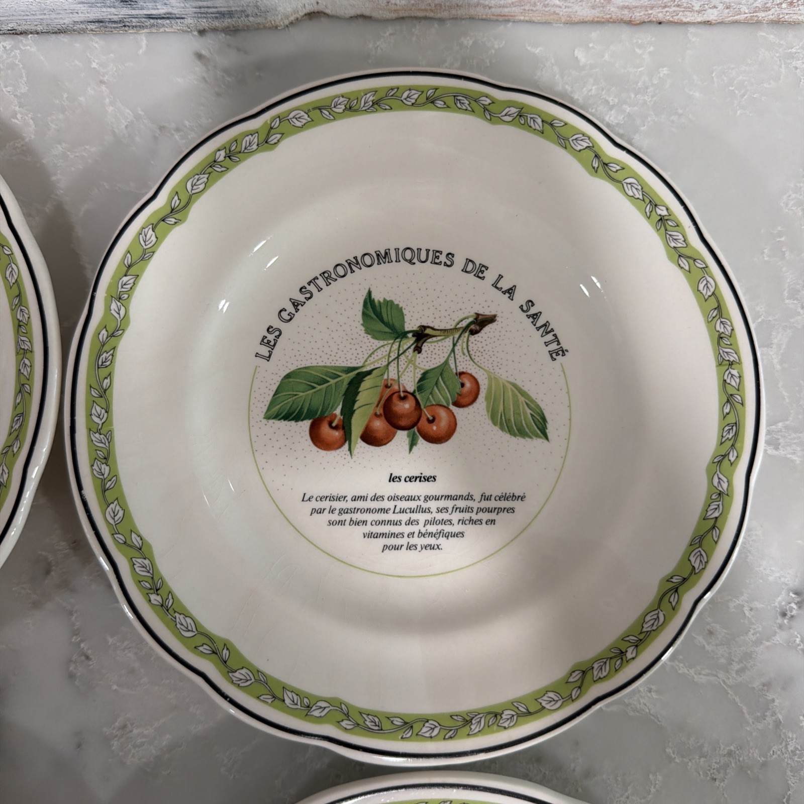 6 VTG Gien China France Les Gastronomiques de la Sante Salad Dessert Plate Set