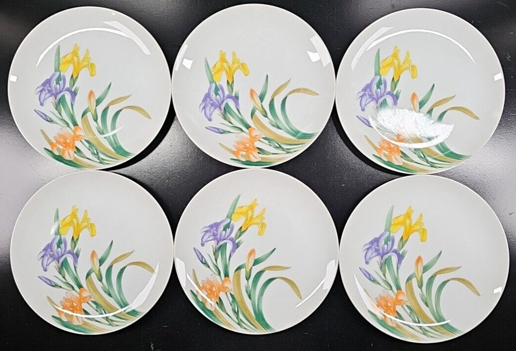 6 Shafford Jardin Des Iris Salad Plate Set Vintage Floral Dishes Japan Retro Lot