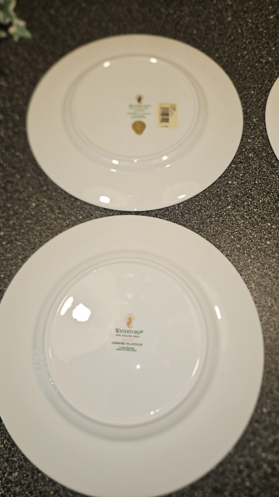 WATERFORD LISMORE Platinum China Set of 4 Dinner Plates 10.75″ – ELEGANT