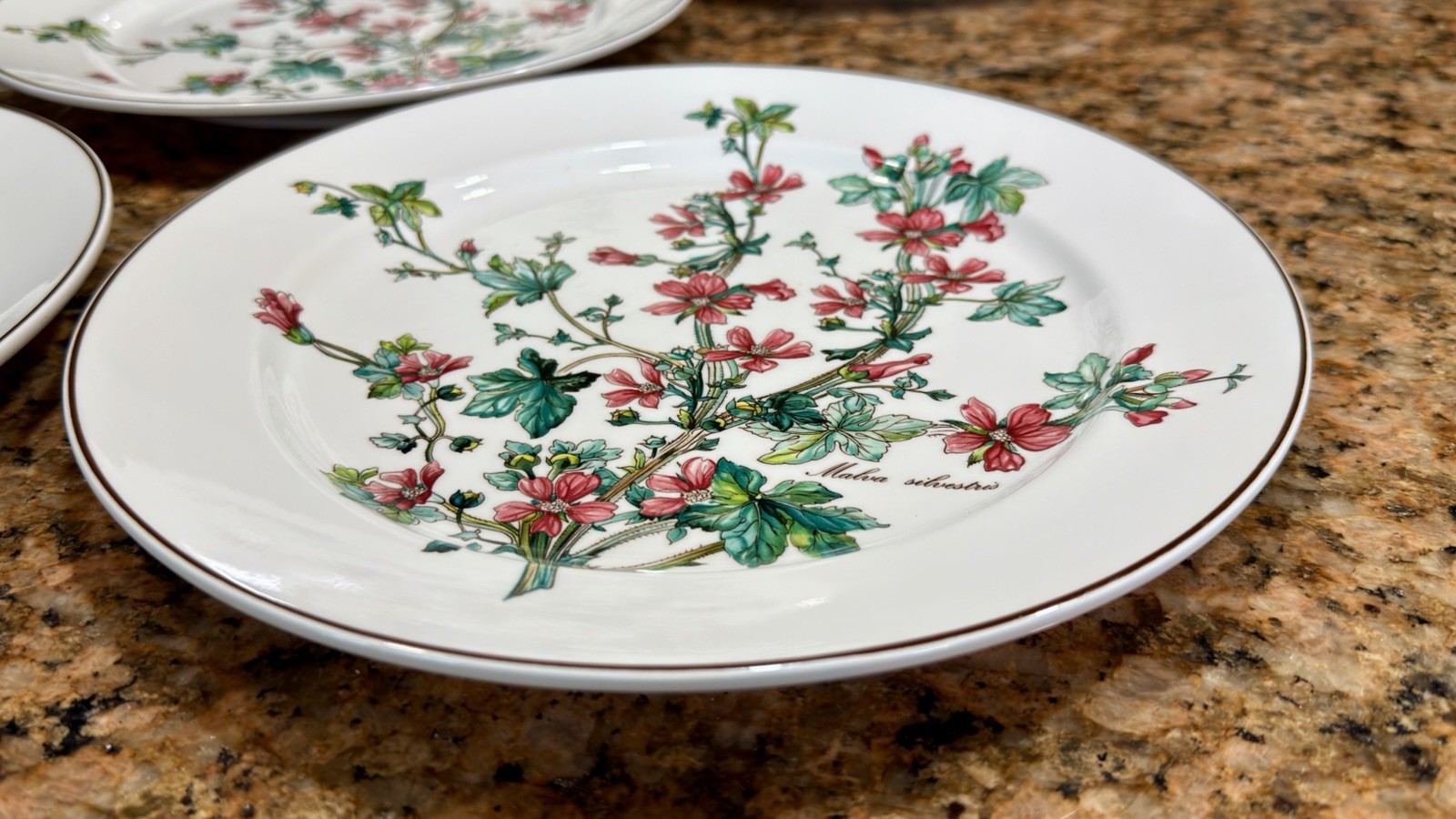 VTG Villeroy Boch Botanica Malva Silvestris 6 Dinner Plates 10-3/8 Luxembourg