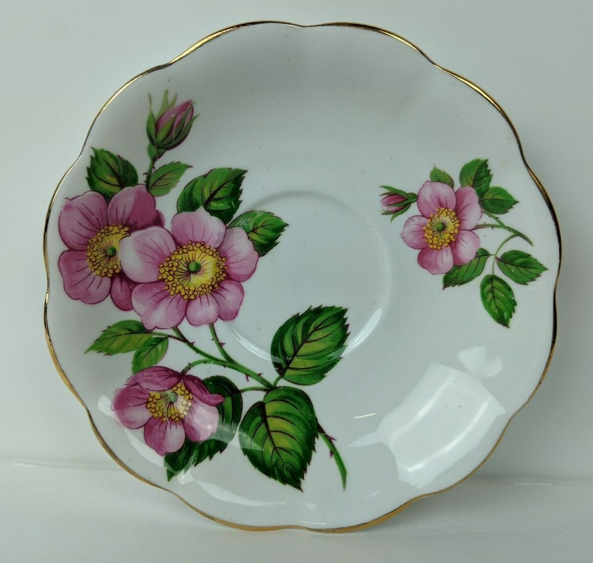 Vintage Royal Standard Bone China Footed Teacup & Saucer Pink Wild Rose