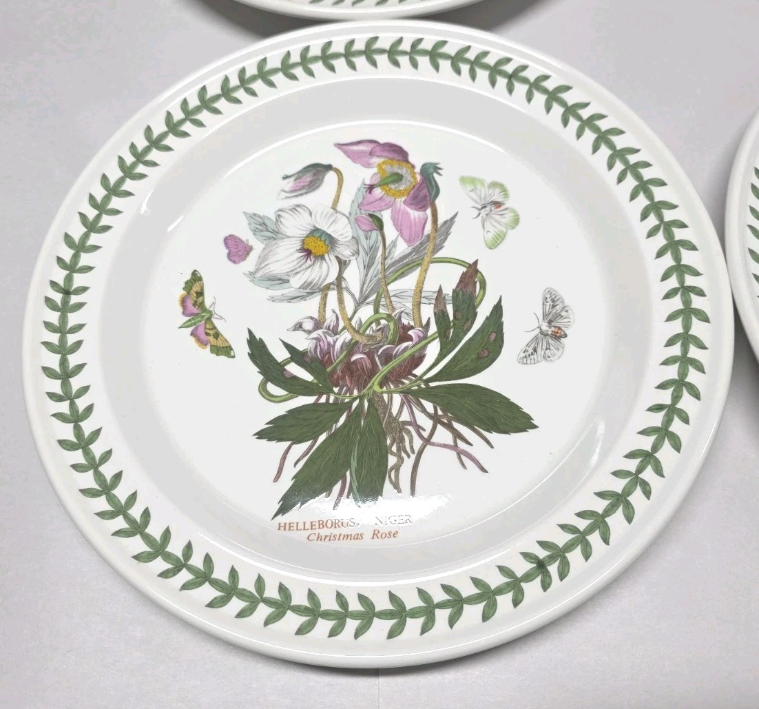 1972 Portmeirion Botanic Garden Set of 6 Rimmed Dinner Plates 10.5” EXC
