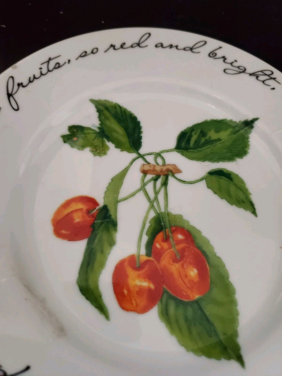 Set 2 Williams Sonoma Orchard Suite Fruit Dessert Snack Or Luncheon Plates