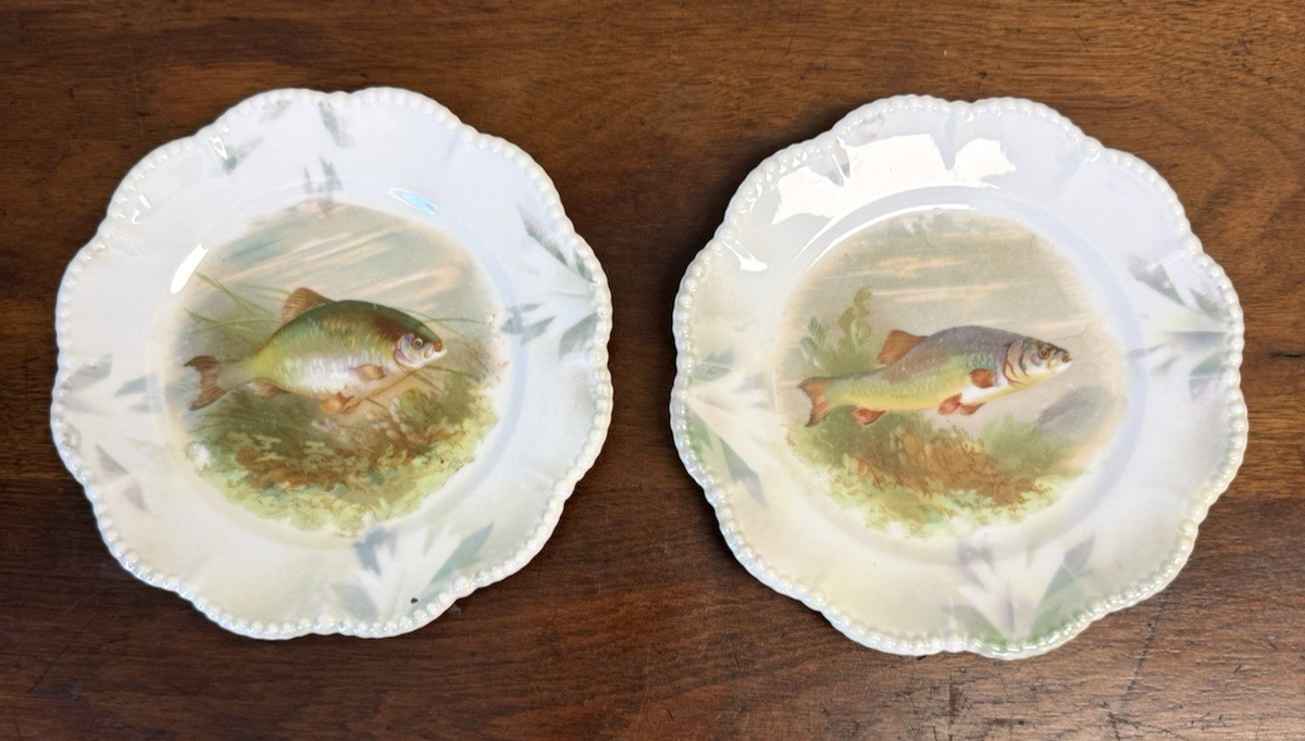 Pair Antique Silesien Germany Fish Porcelain Salad Plates 7 7/8″ Scenic Trout