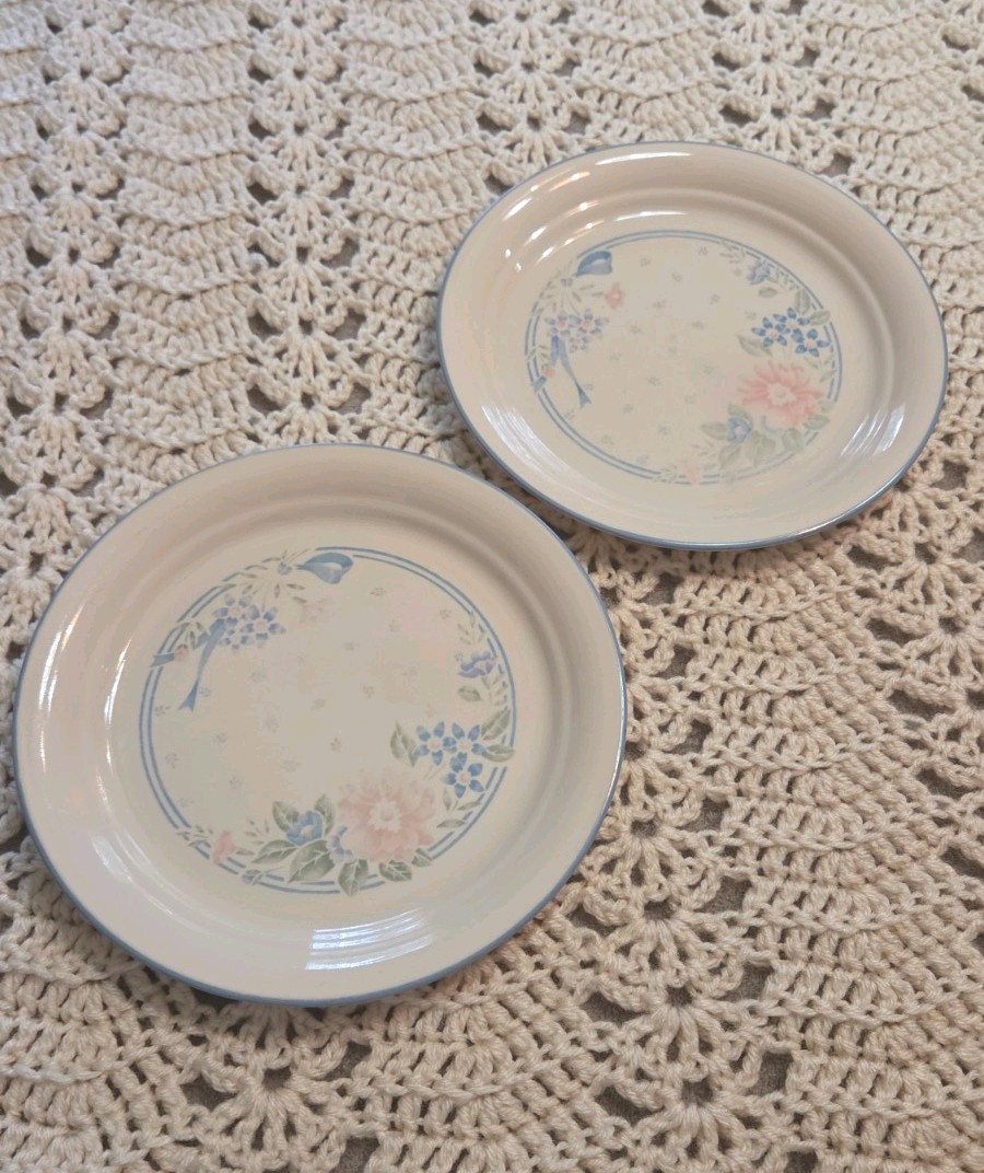 Set of 2- 8.5″ Corelle Symphony Luncheon Plates Pair