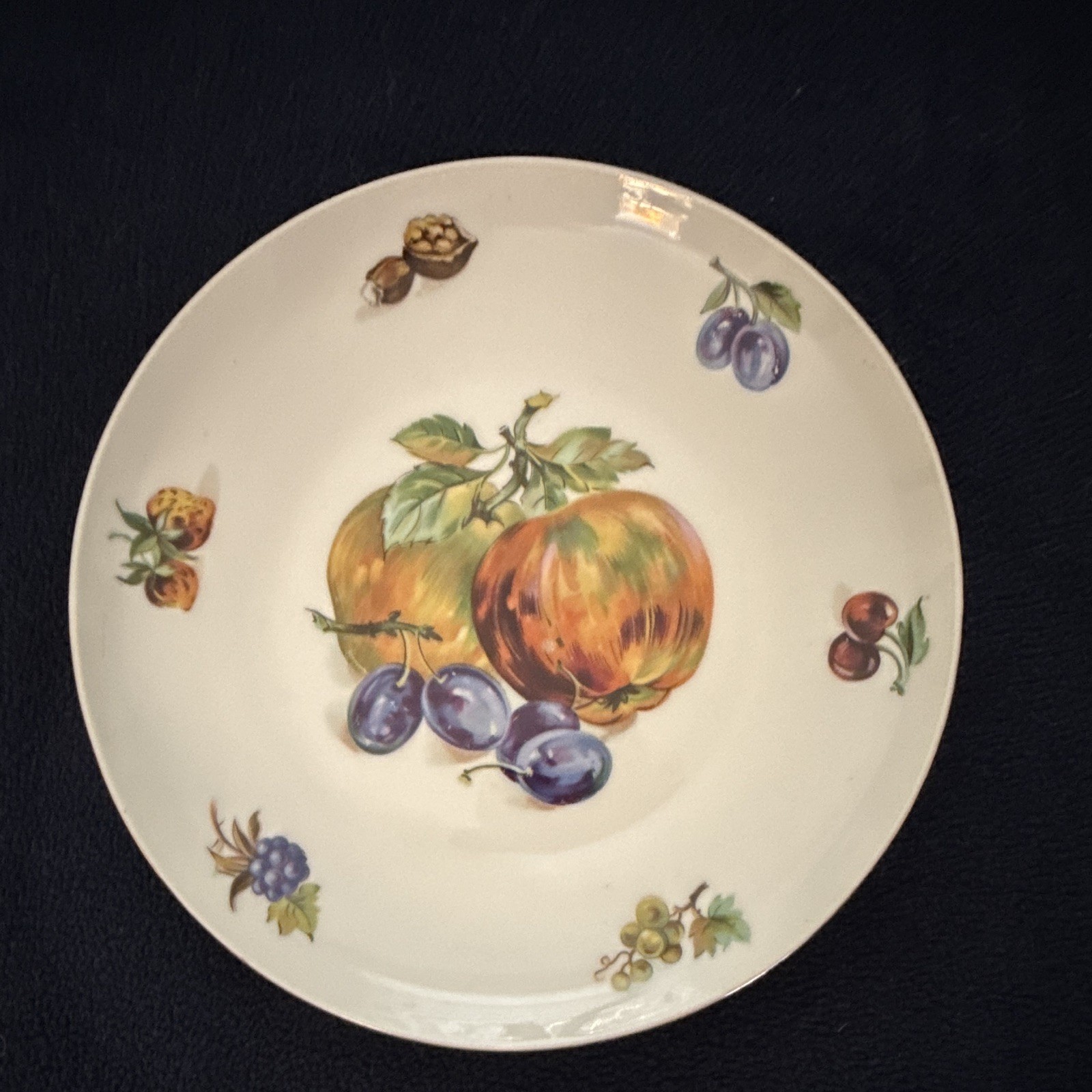 Tuscport Fine China Fruit Pattern Dinner Plates Set of 4, Round, Czechoslovakia