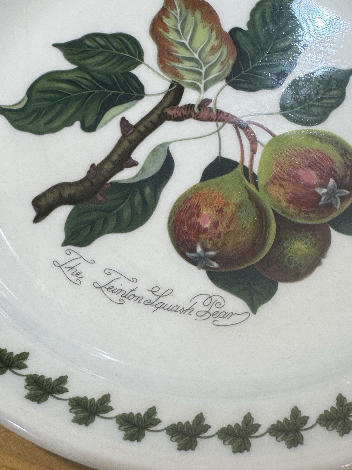PORTMEIRION Set of 2 POMONA 8.5″ Salad Plates ~ Apple & Pear with Leaf Motif