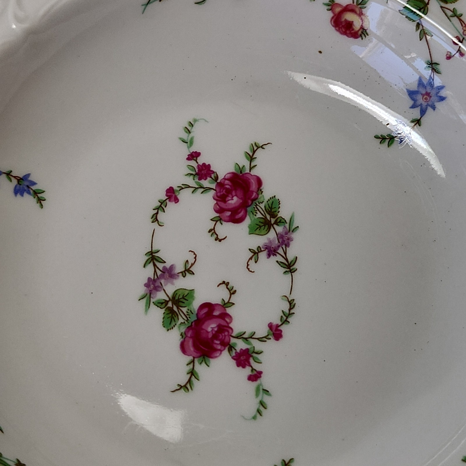 2 Rimmed Soup Bowl Floral Vintage Wawel China, ROSE GARDEN Made In Poland 8 1/8″
