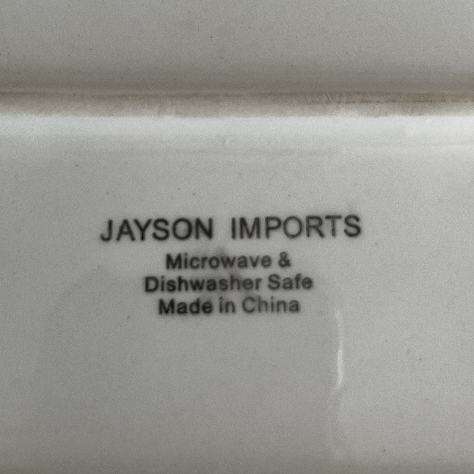 Jayson Imports Bird of Paradise Tropical Floral Ceramic Serving Platter Tray