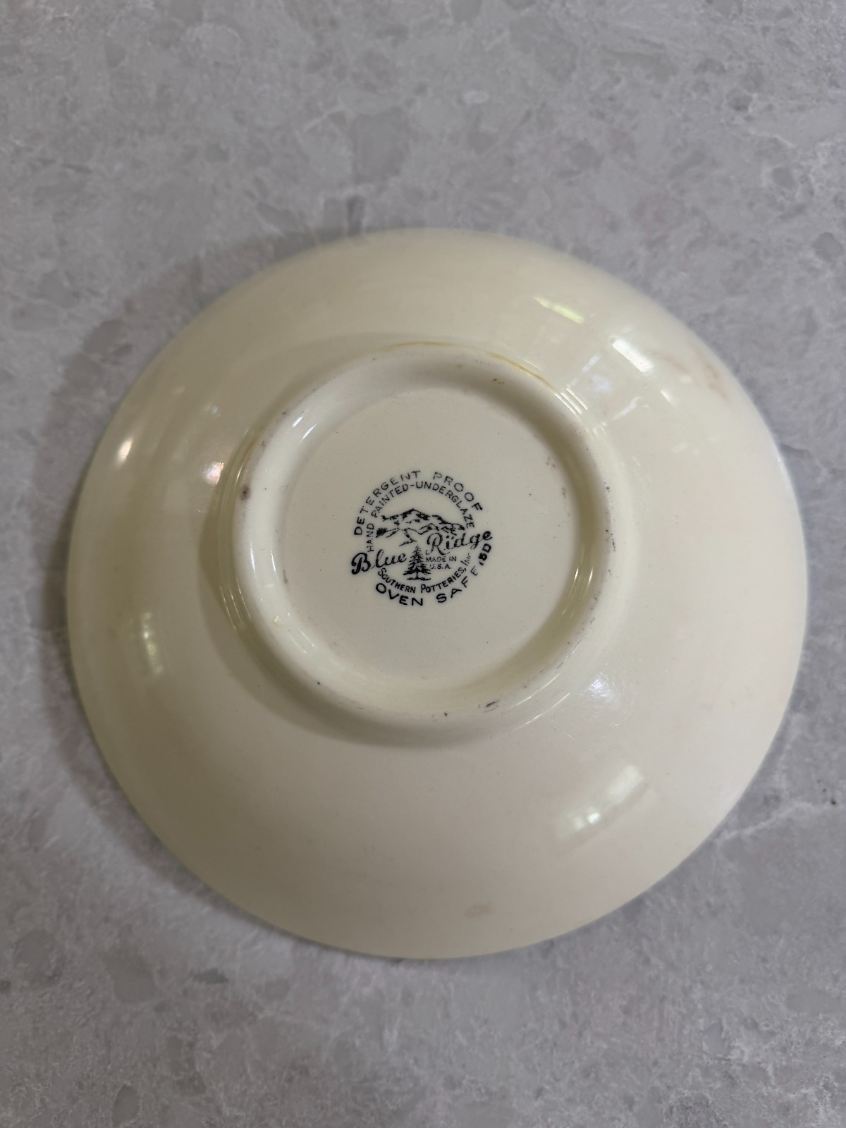 **Vintage** Blue Ridge Southern Pottery Hand Painted Made USA 9″