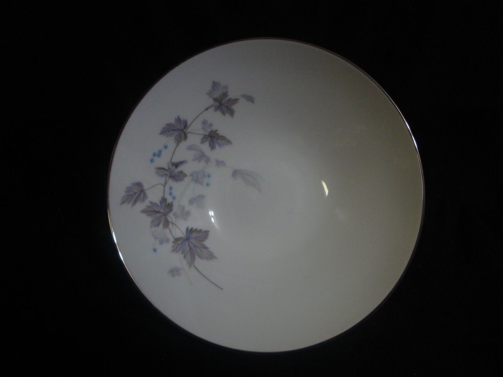 Noritake Porcelain China Ivyne Platinum Band Premium 15 Piece Lot