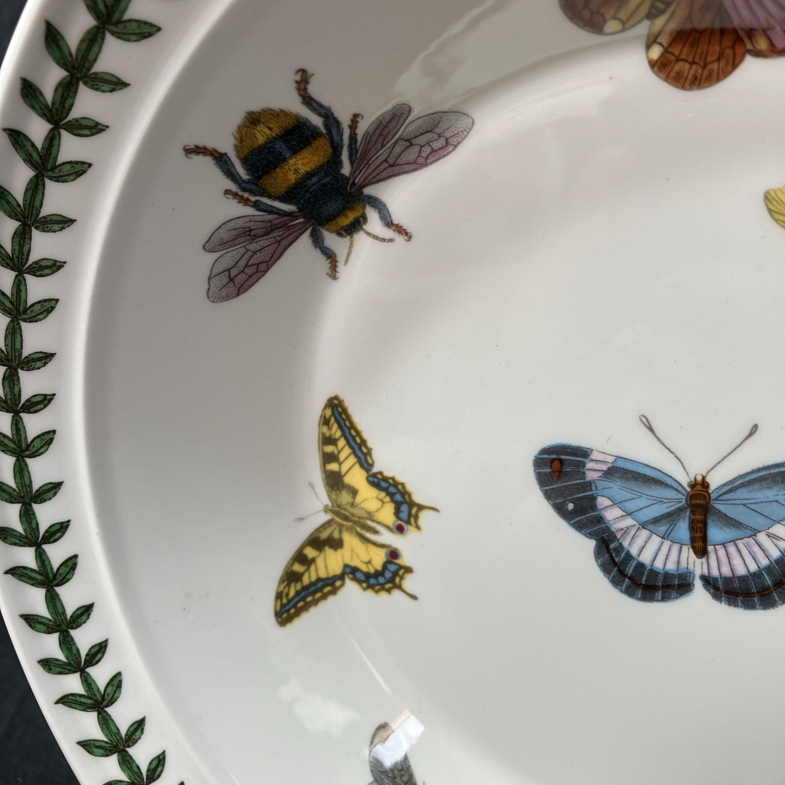 Portmeirion Botanic Garden Rimmed 8.5″ Soup Bowl Butterfly Moth Insect NEW MARK
