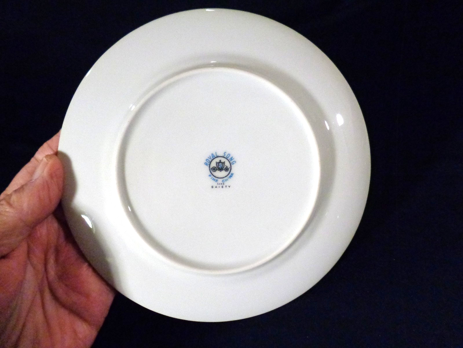 Royal Song 5443 Gaiety Set of 2 – 6 1/2″ Bread Plates Tiny Multicolor Flowers