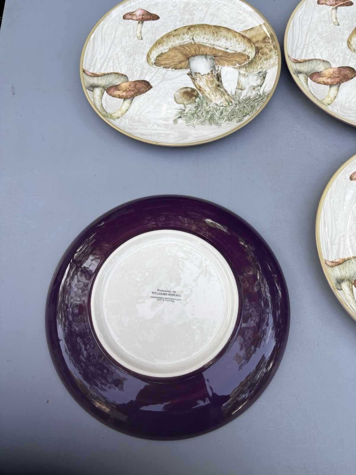 ❤️(4) WILLIAM SONOMA HARVEST BOTANICAL MUSHROOM SERVING/PASTA BOWLS 9” NWOB!