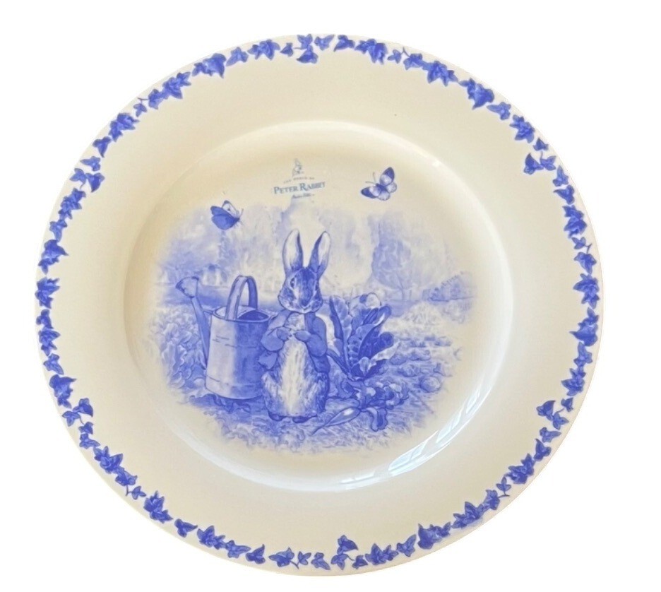 ZRike Beatrix Potter Peter Rabbit Dinner Plate Blue White 10.5