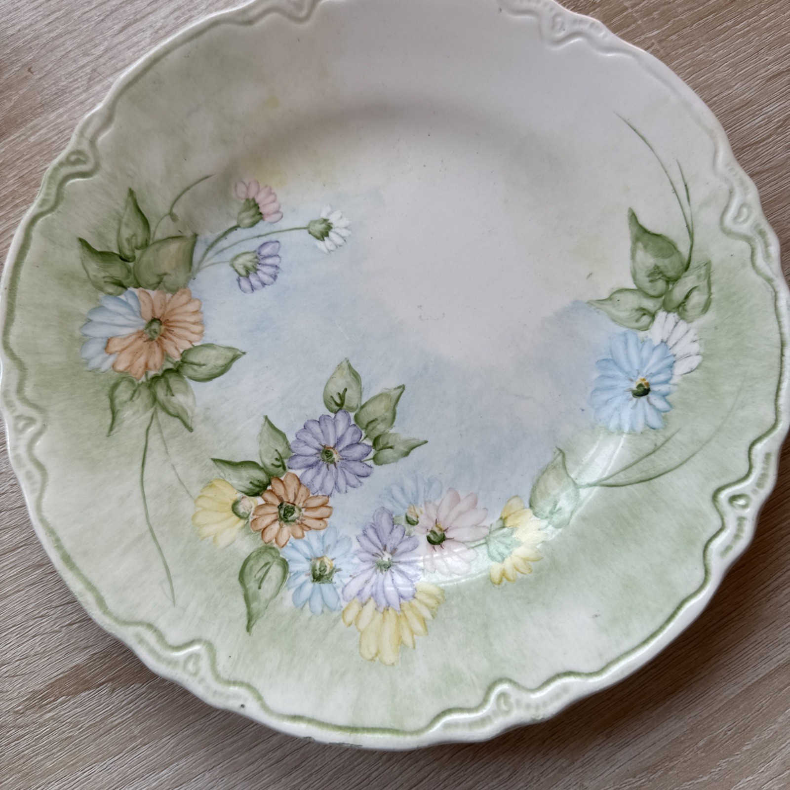 Vintage Hand Painted Floral 9.5” Dinner Plate Green Border Cottagecore Decor