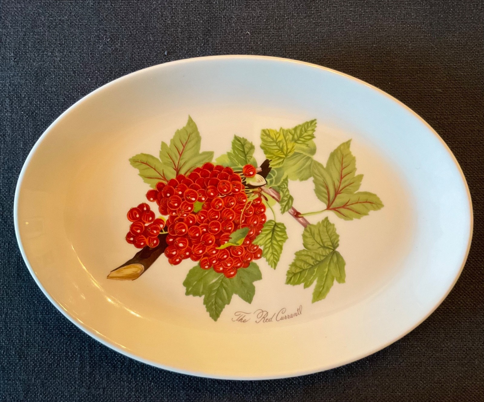 Portmeirion Pomona Oval Steak Platter 10.75” RED CURRANT New with Tag