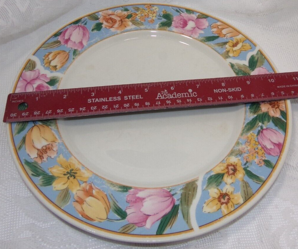 Vintage 1994 Farberware China ROSE GARDEN DINNER PLATE