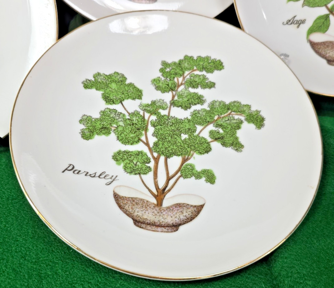 Vtg Herb Garden Wall Hanging Plates Set 4 Japan Parsley Mustard Sage Chives Deco