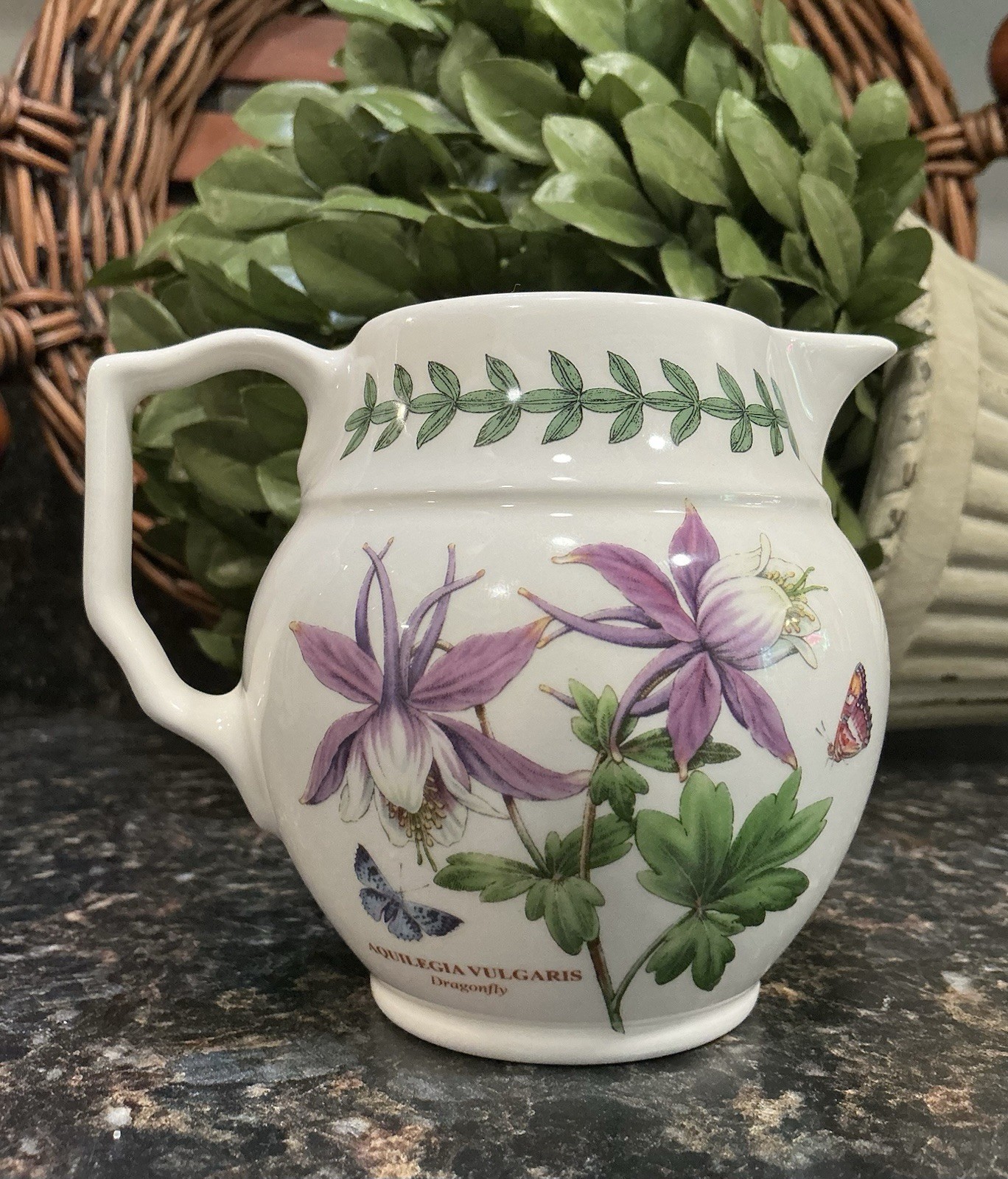 Portmeirion Exotic Botanic Garden DRAGONFLY 8oz Creamer DISC England ~ PRISTINE