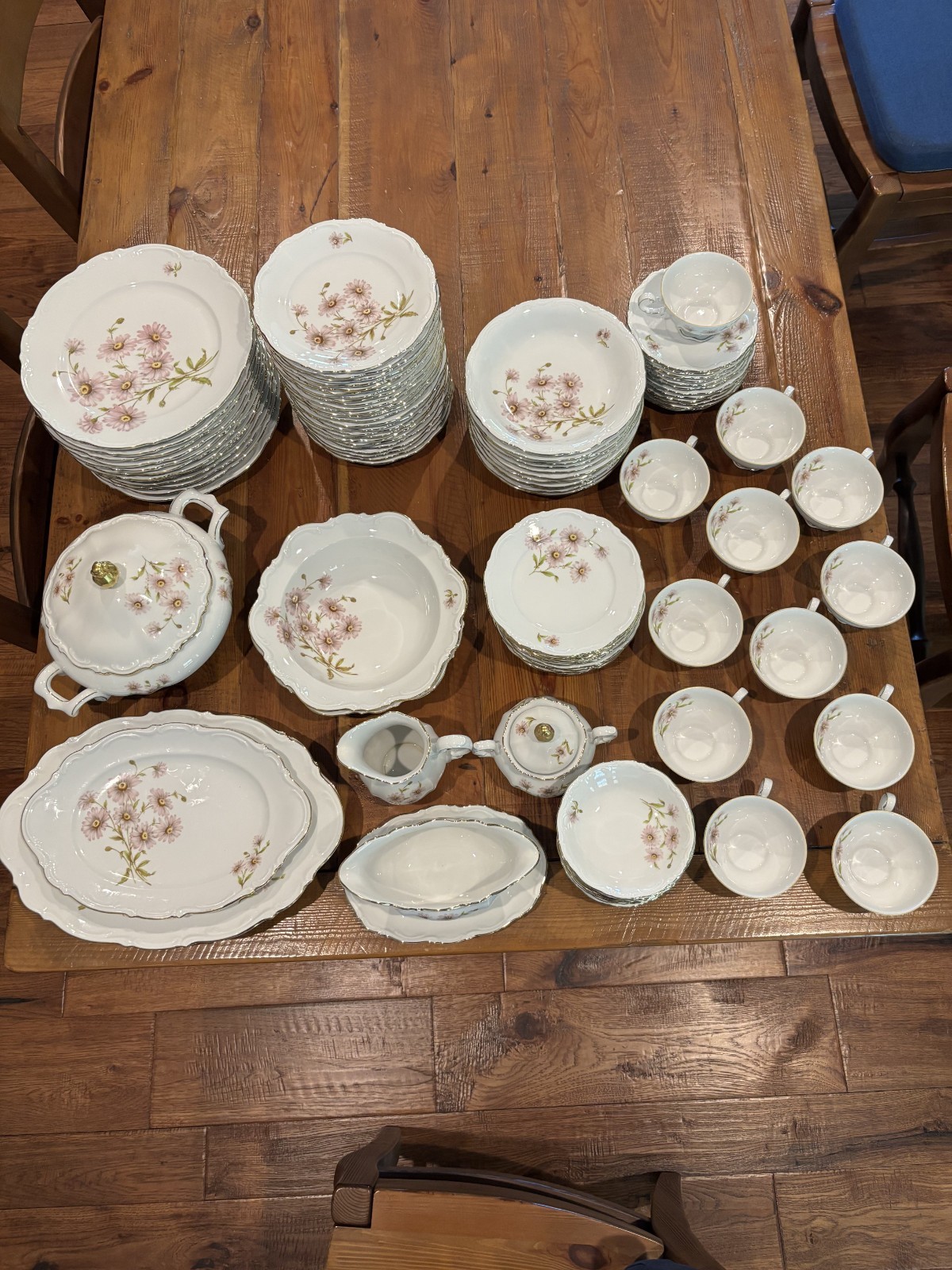 102 Piece Vintage Mitterteich Bavaria “Daisy Bell” China Set