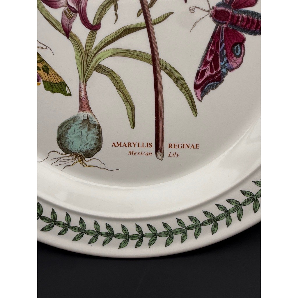 Vintage Portmeirion Botanic Garden Dinner Plate Mexican Lily Minty Amaryllis