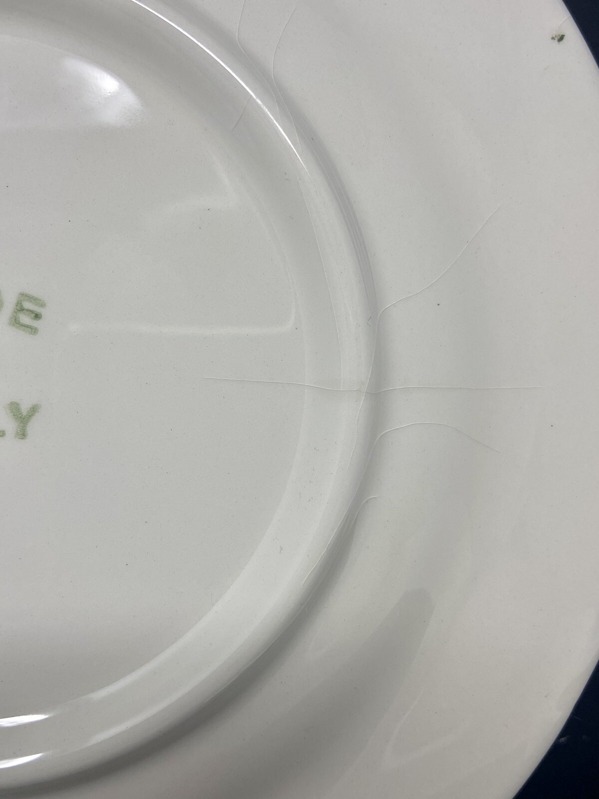 Tre Ci Italian Ceramic Rimmed Salad Plate w/ Bumble Bee & Floral Design