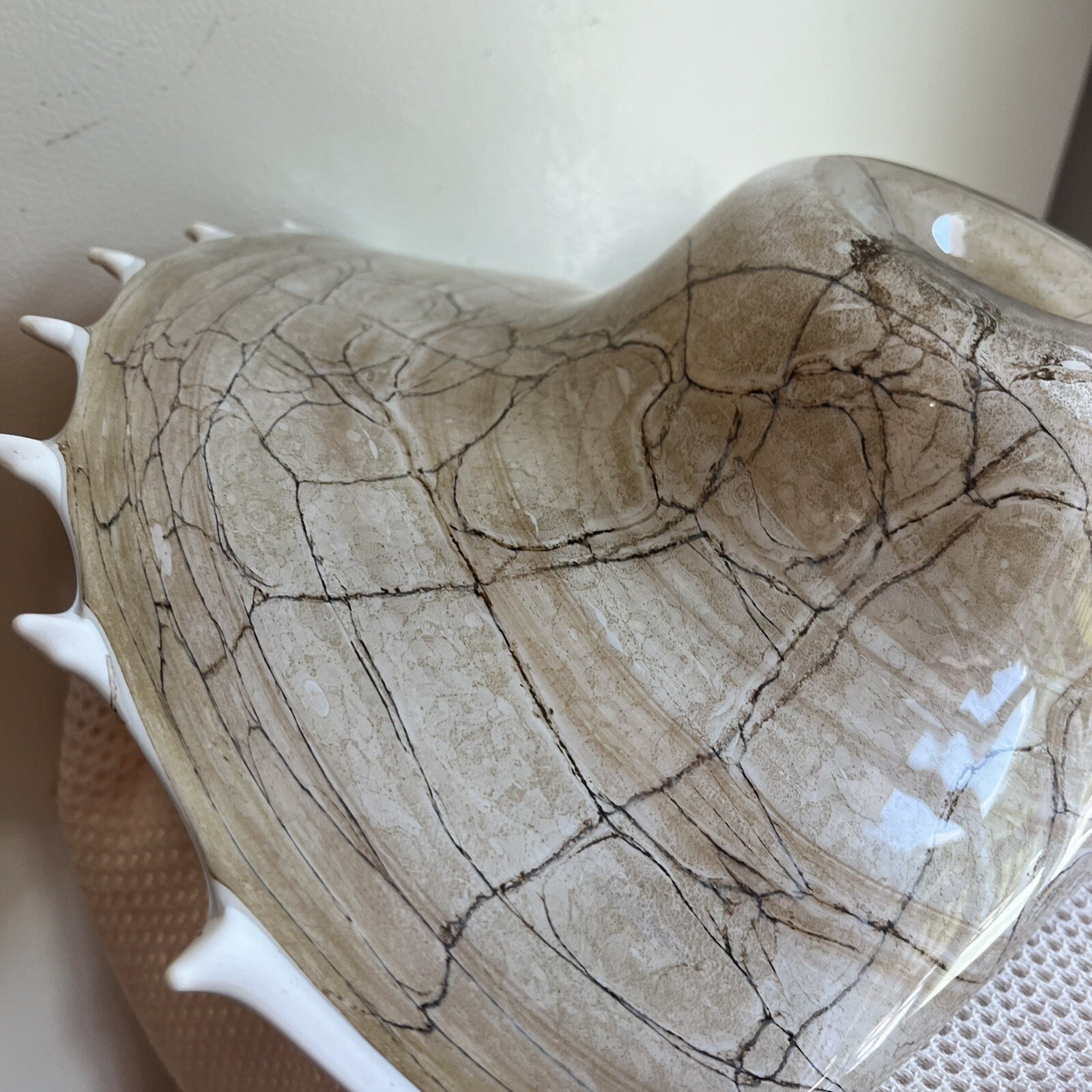 Krosno Jozefina Hand Blown Shell Centerpiece Bowl Large 20” Made In Poland