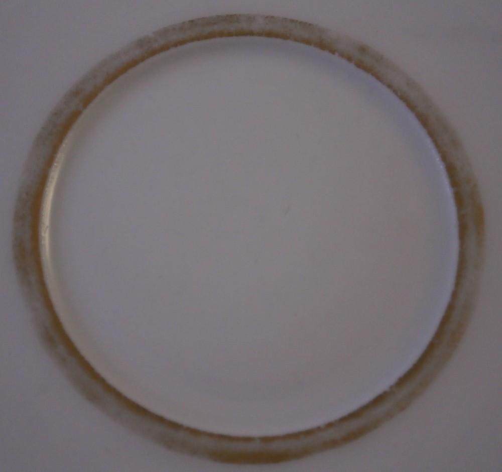 Antique 19thC Royal Vienna Porcelain Gold Grape Leaf Cup & Saucer Wien Austrian