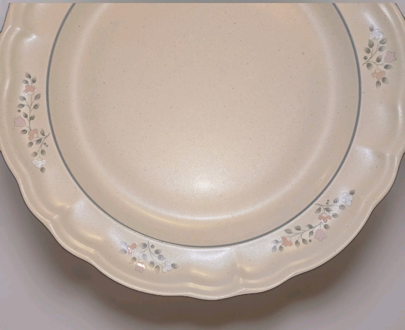 PFALTZGRAFF REMEMBRANCE STONEWARE 10 3/8” DINNER PLATE Replacement VINTAGE