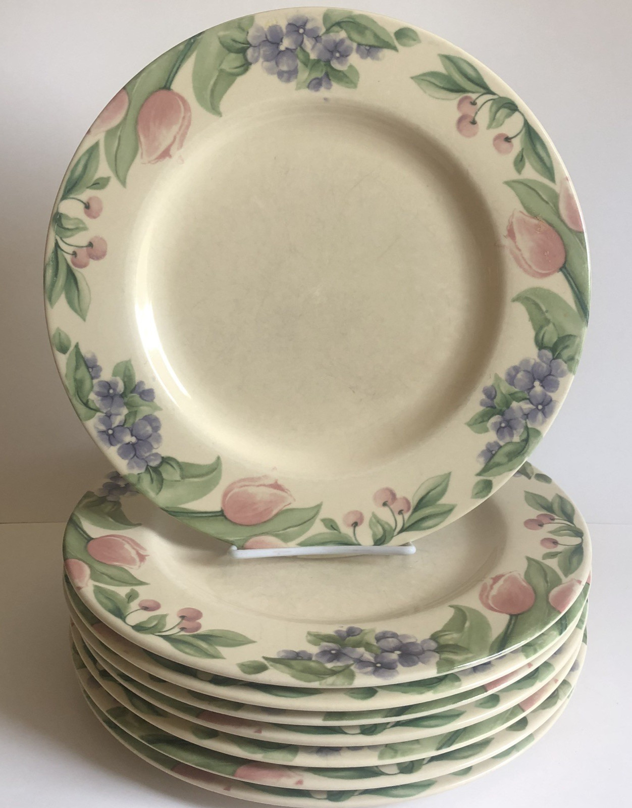 Pfaltzgraff Garden Party Impressions Dinner Plate 10.5″ Sold Separate 8 Availabl