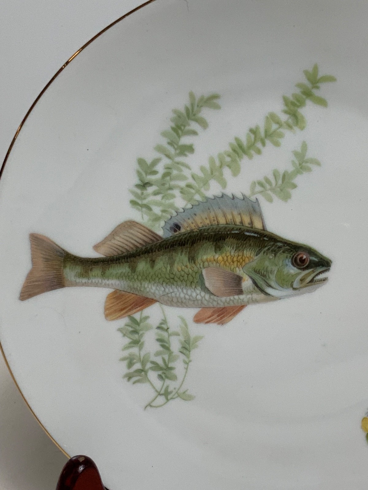 Set of 2 Vintage Bareuther Waldsassen Germany Fish Salad Plates 7.75 in.