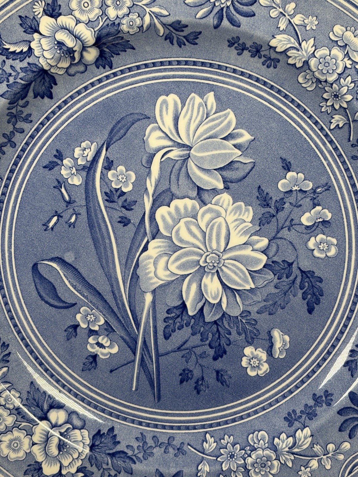 The Spode Blue Room Collection “Botanical” Plate Made In England 10.5″
