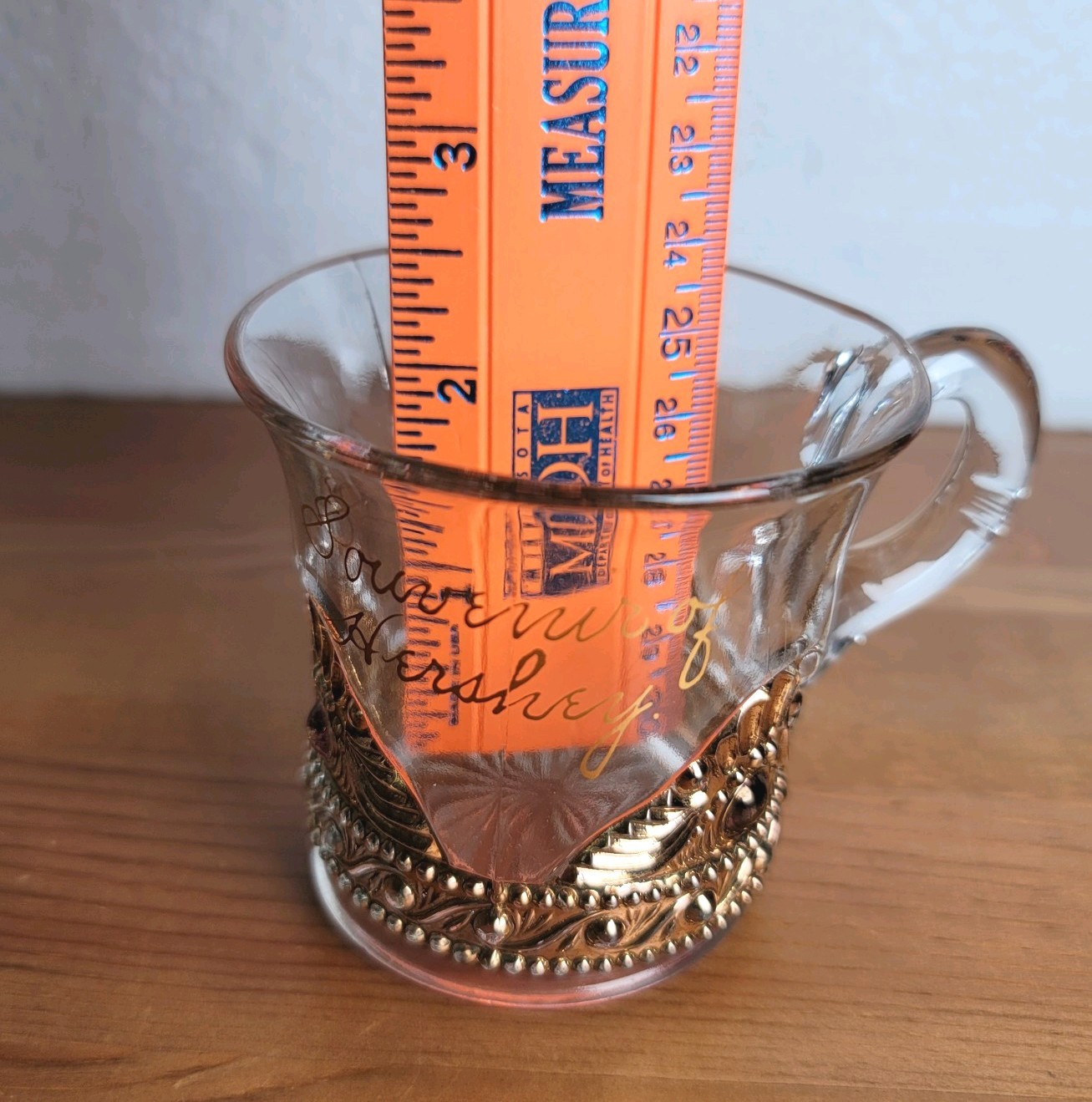 US Glass Jewel Lacy Medallion Souvenir Hershey PA Cup Mug Gold Trim c1899 EAPG