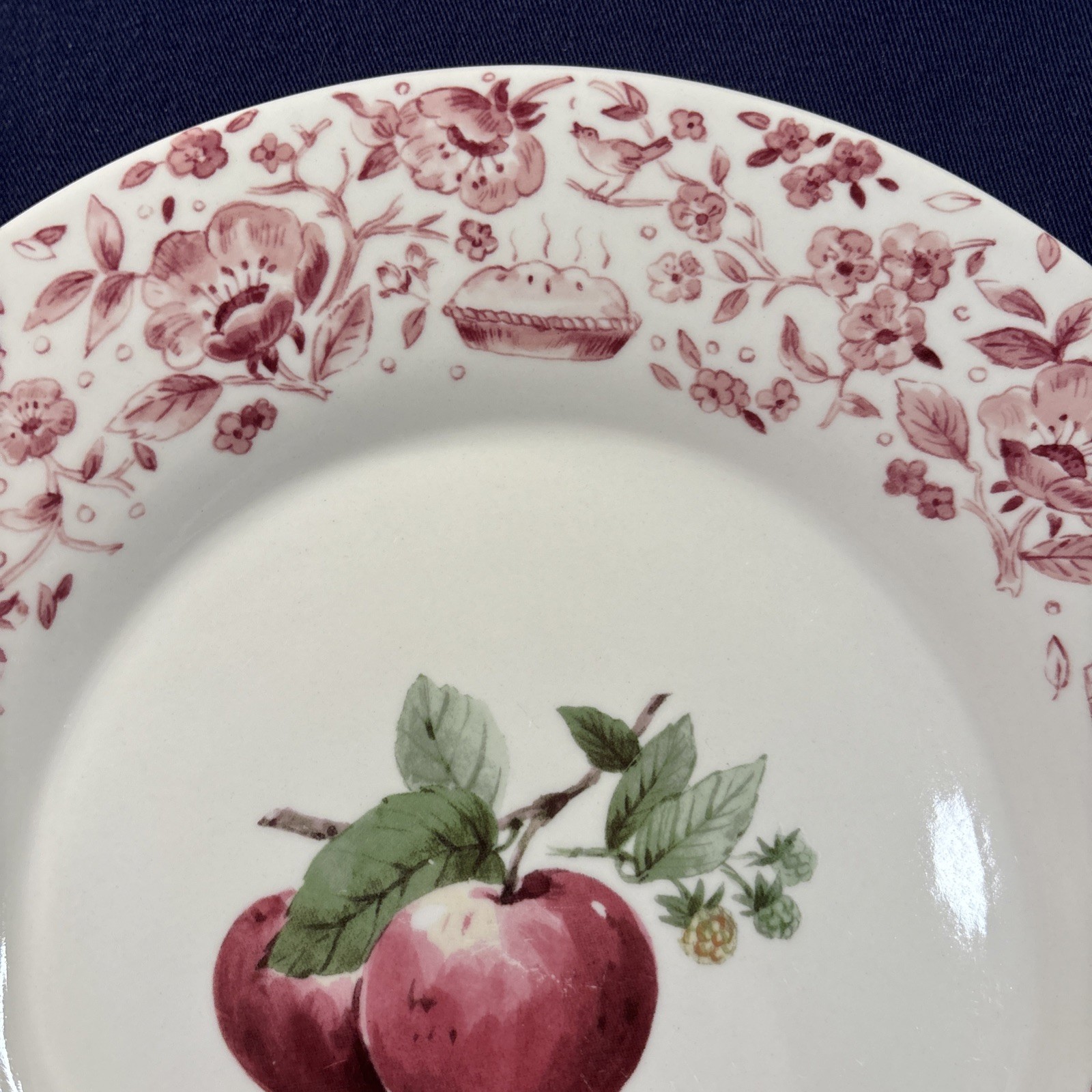 Pfaltzgraff Delicious Apple 11″ Dinner Plates Set of 2 Pink Floral Border