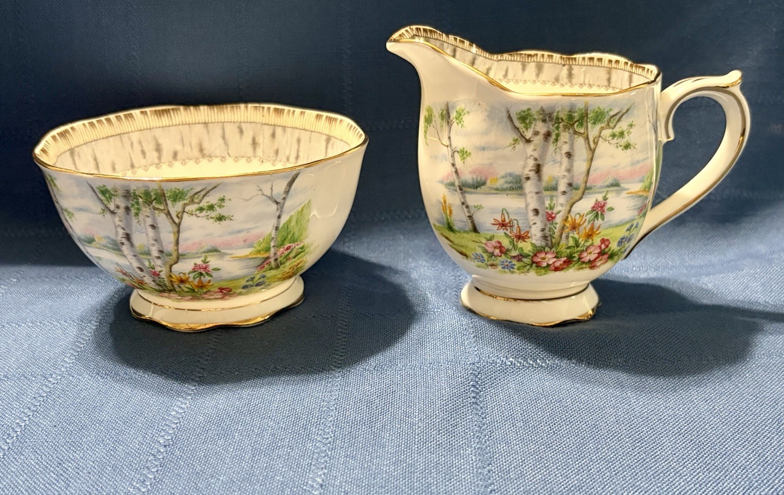 Royal Albert Silver Birch Cake Set for 6 Handled Plate C&S Cups & Saucers Plates