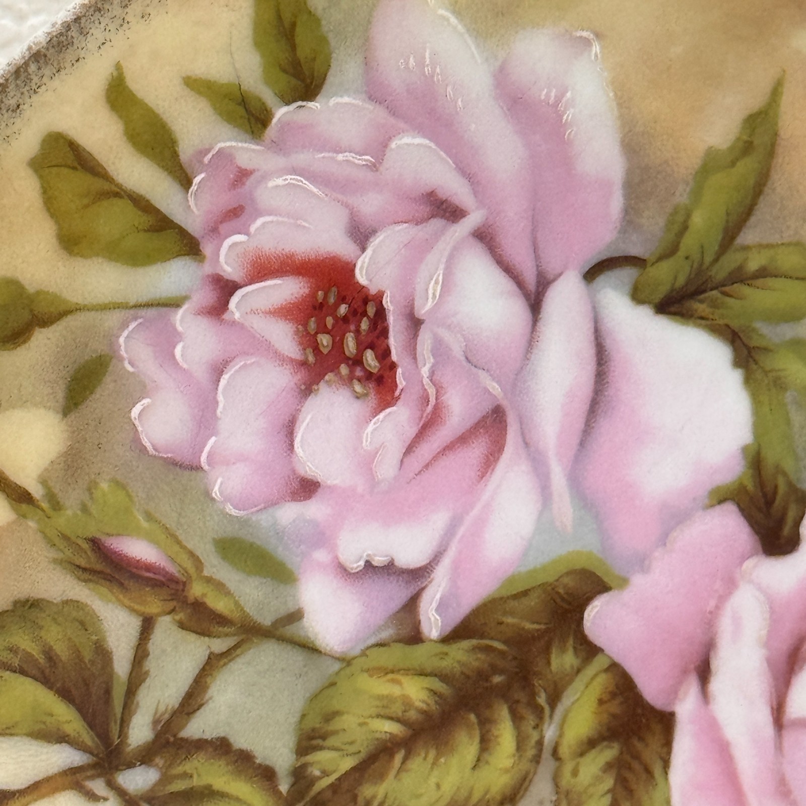 Vintage Alice Austria Pink Rose Oval Handled Porcelain Serving Plate Tray 11″