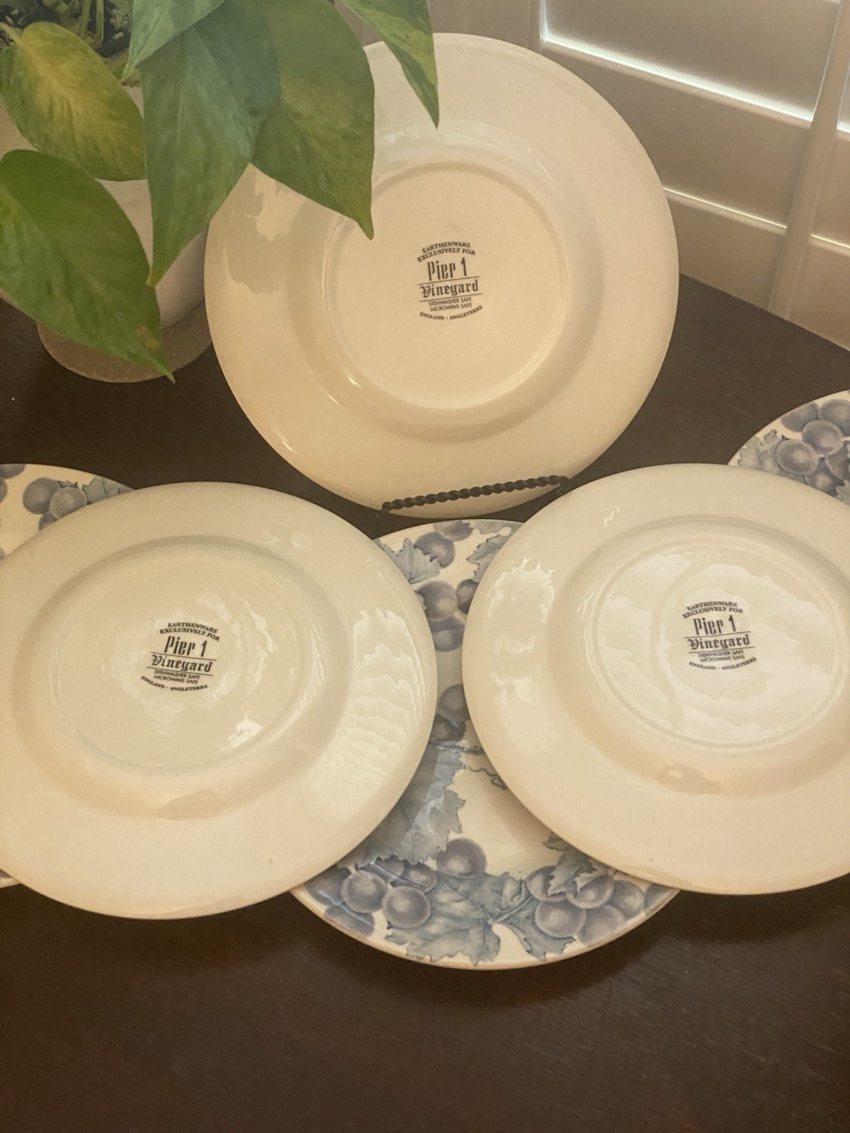 Lot Of 6 Pier 1 One Angleterre VINEYARD England Salad Dessert Plate Grapevines