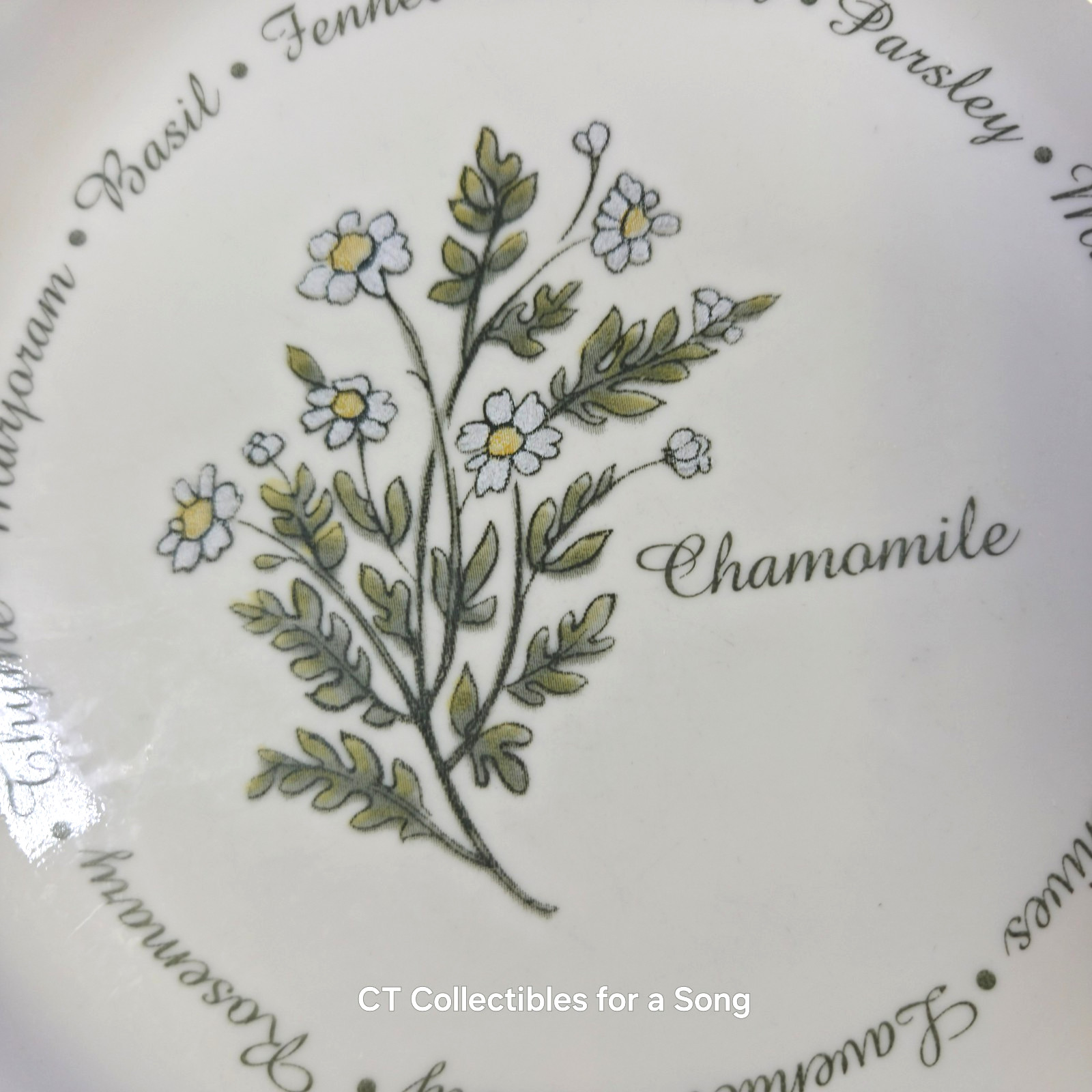 VTG Set 12 Corelle Thymeless Herbs Luncheon/Salad Plates 8 1/2″ Green