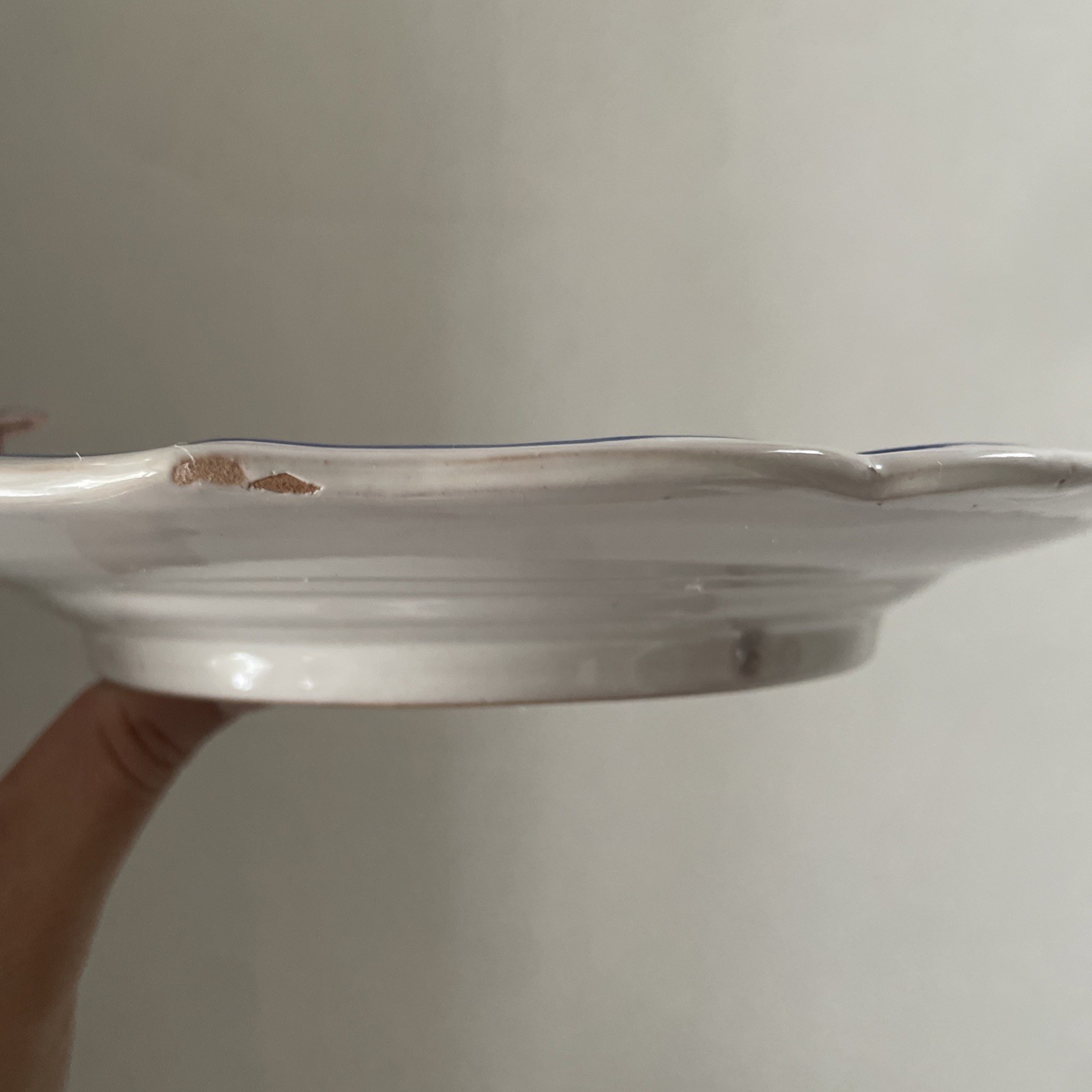 Vintage ND Dolfi Montelupo Italy Floral Wall Plates Set of 2