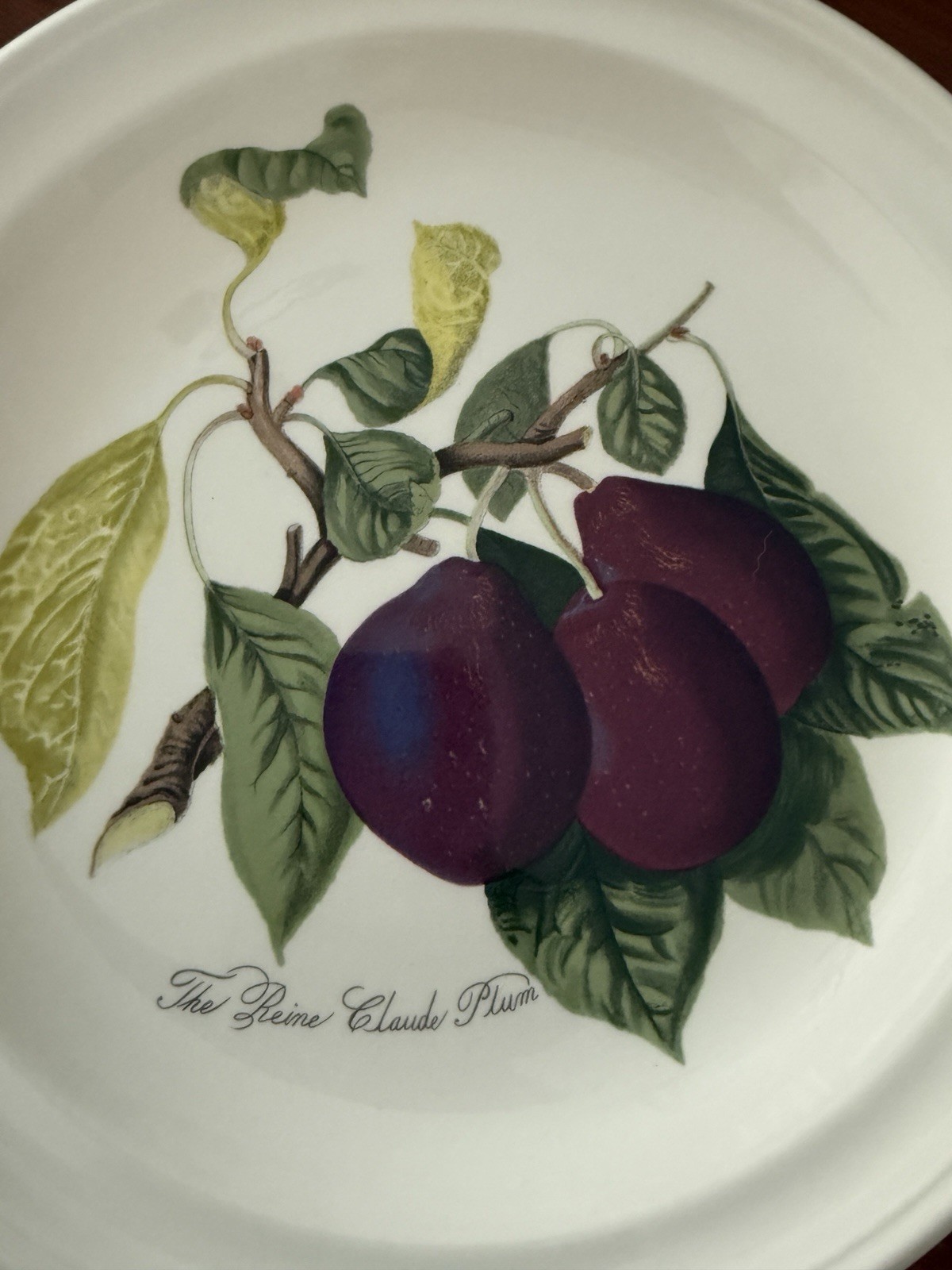Vintage Portmerion Pomona Vintage The Reine Claude Plum Dinner Plate EXC 10.5”