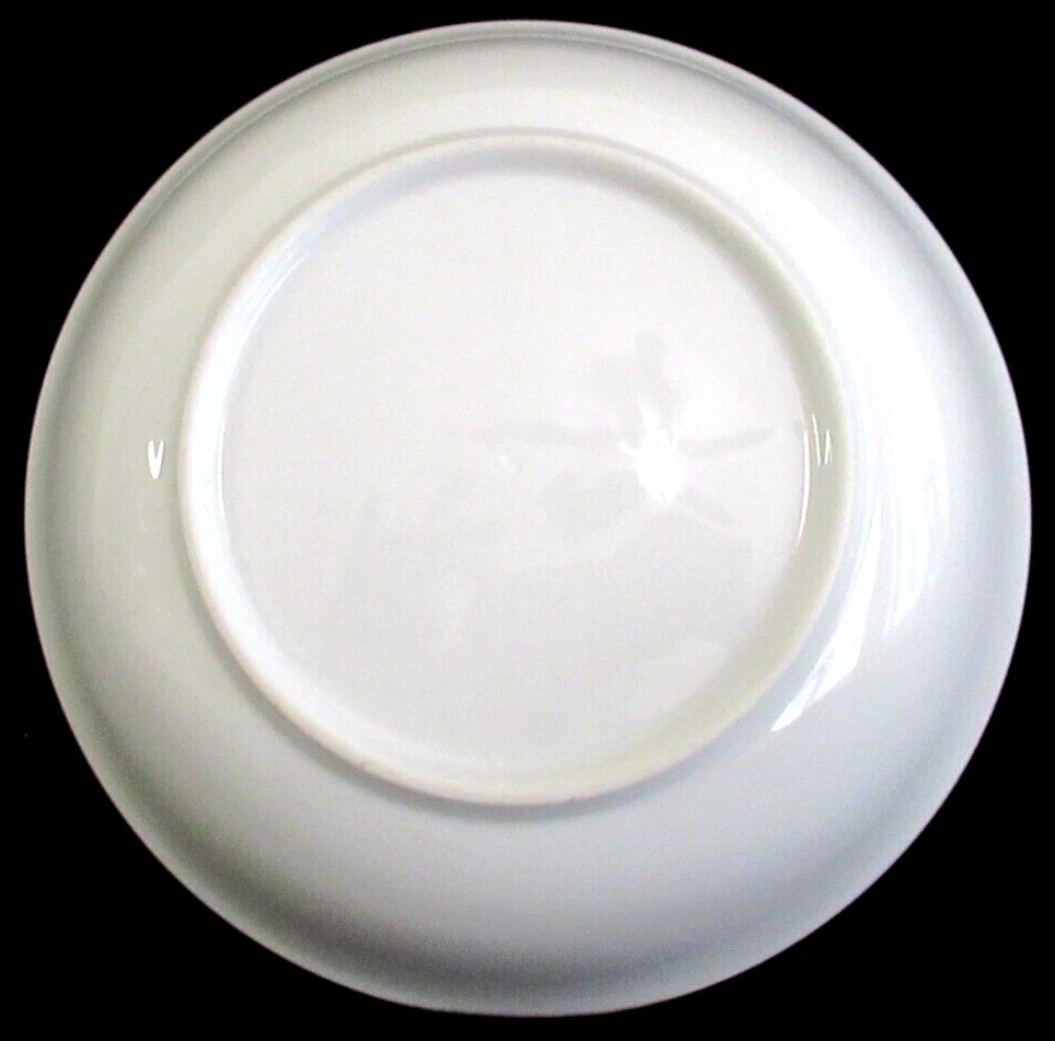 PORCELAIN “SOUP & SALAD / 9-in BOWL” (WHITE) ~ *** 9″ DIAMETER X 2.5″ DEEP ***