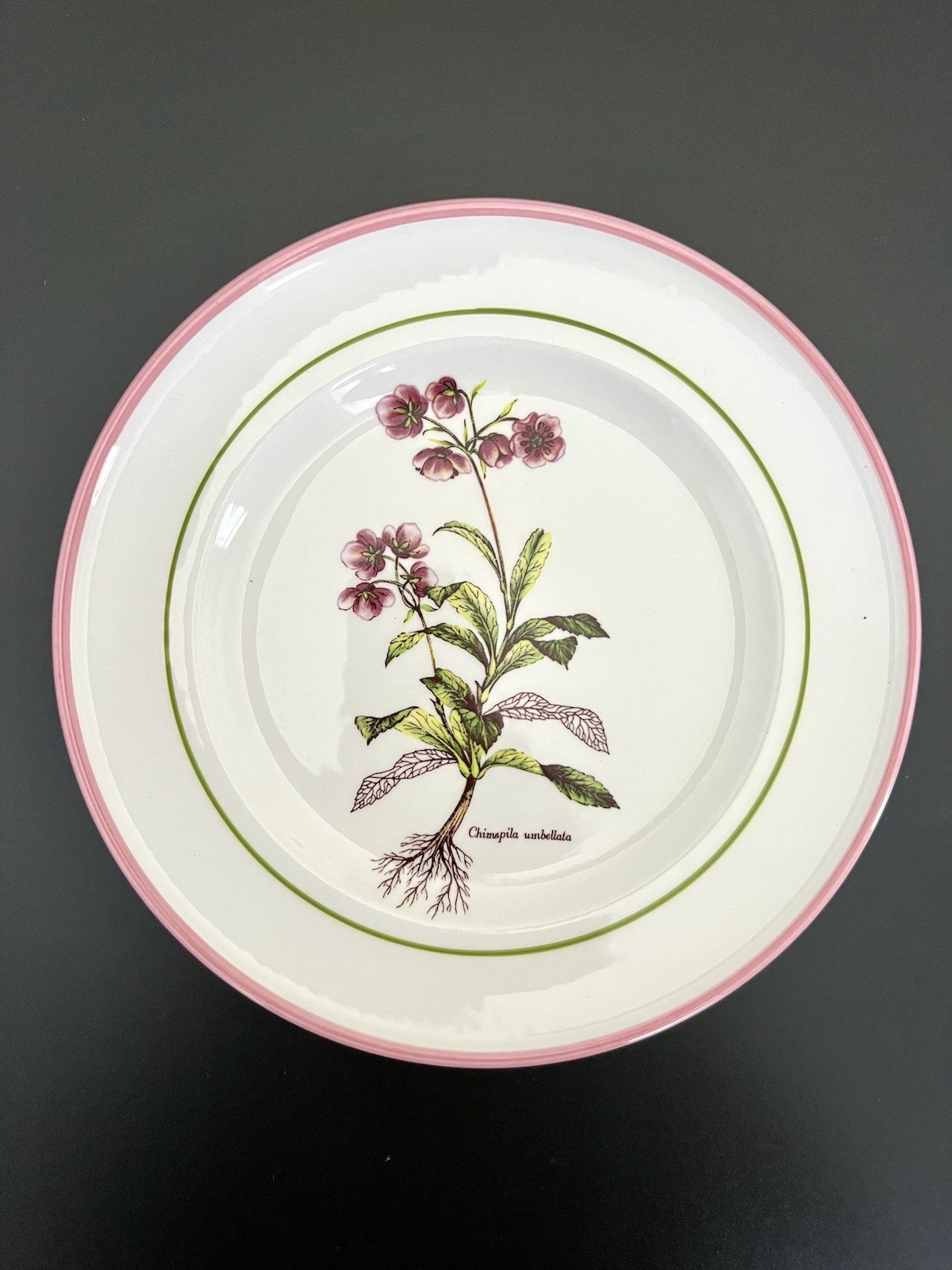 Vintage Botanical Plates 8″ Italy La Primula Hand-Painted Salad Plate Pink Rim