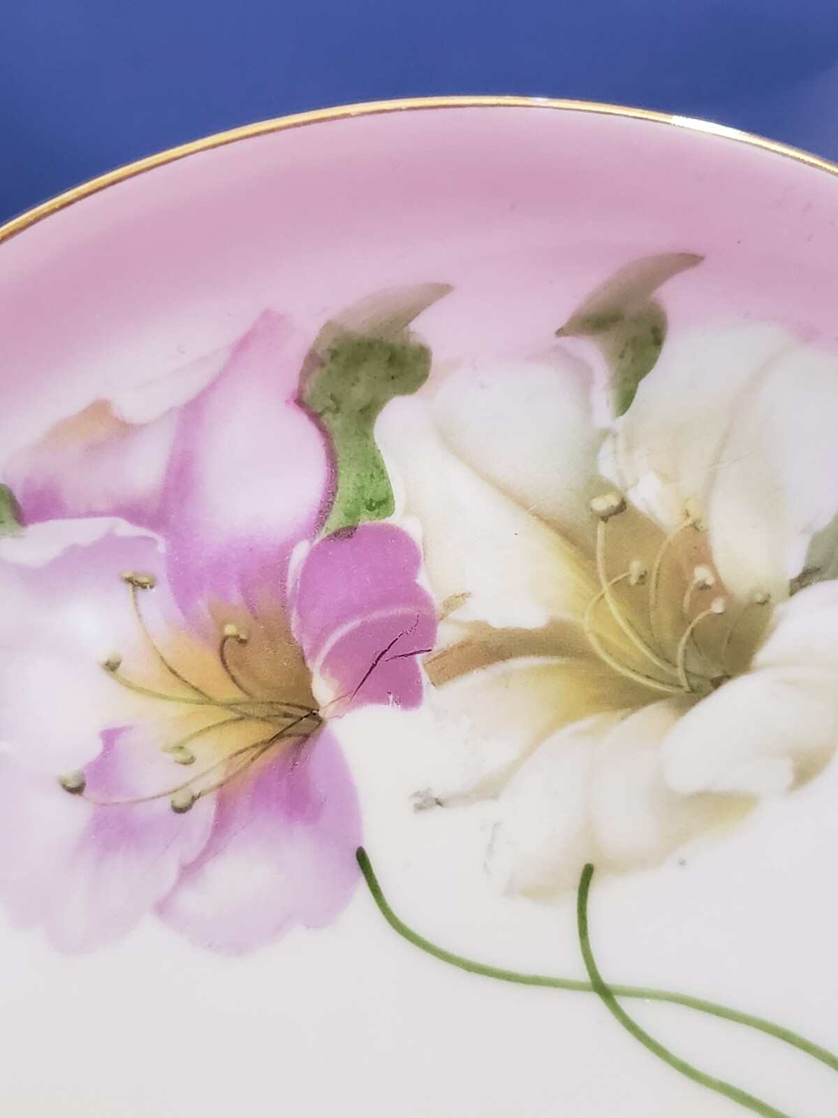 Two Antique Vintage Bavarian Plates Z.S. & Co Hand Painted Porcelain 1880- 1918