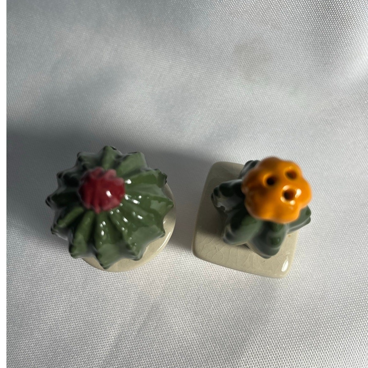 Vintage Succulents Cactus Salt & Pepper Shakers Small Pair Home Decor Western