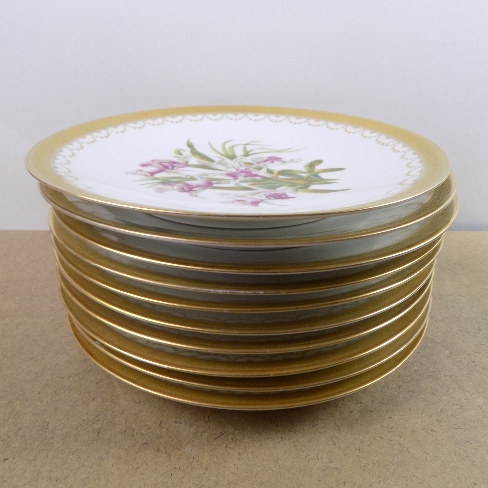 10 Antique T&V Limoges Hand Painted Botanical Plates Ovington Bros New York