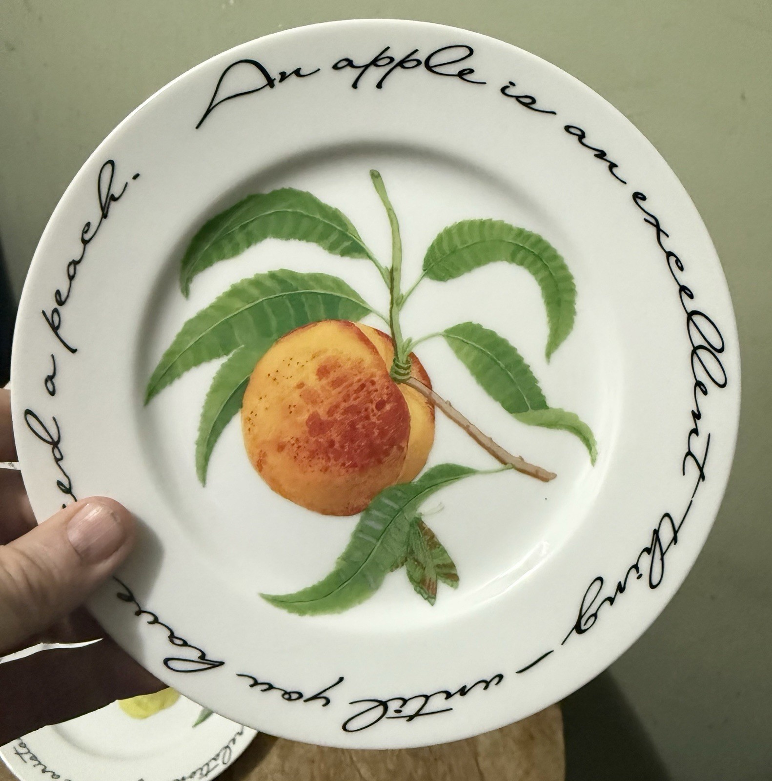 6 Williams-Sonoma Orchard Suite 7 3/4″ plates George du Maurier