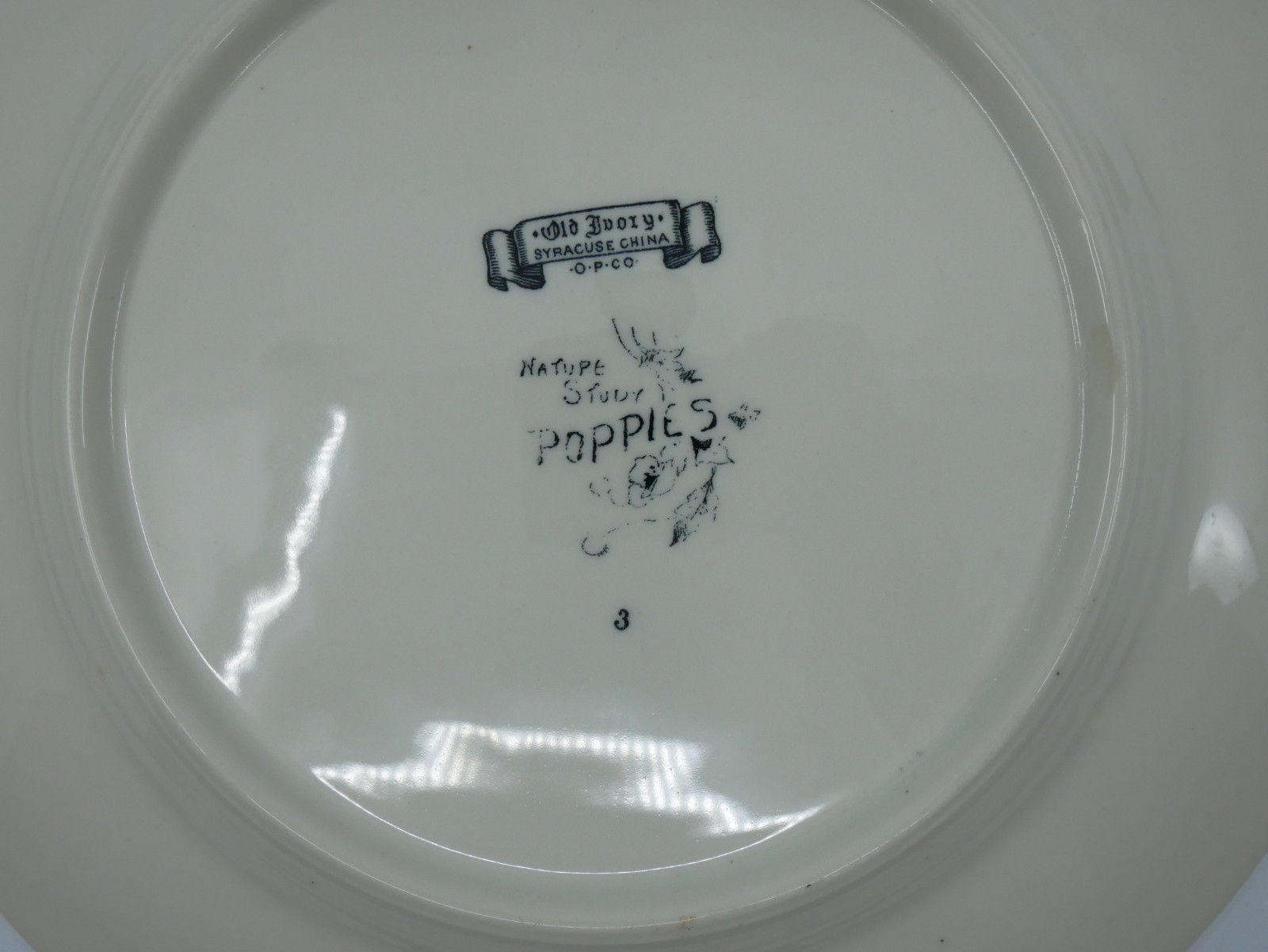 Vintage Syracuse Old Ivory Nature Study Poppies Dinner Plate #3 Black & White