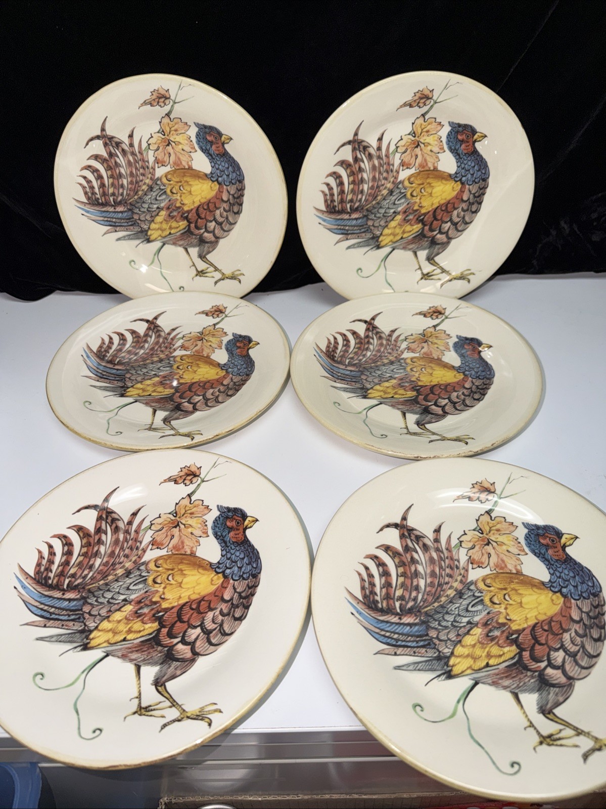 SET OF 6–Sur La Table PHEASANT 8.5″ Salad Plates ITALY FREE SHIPPING