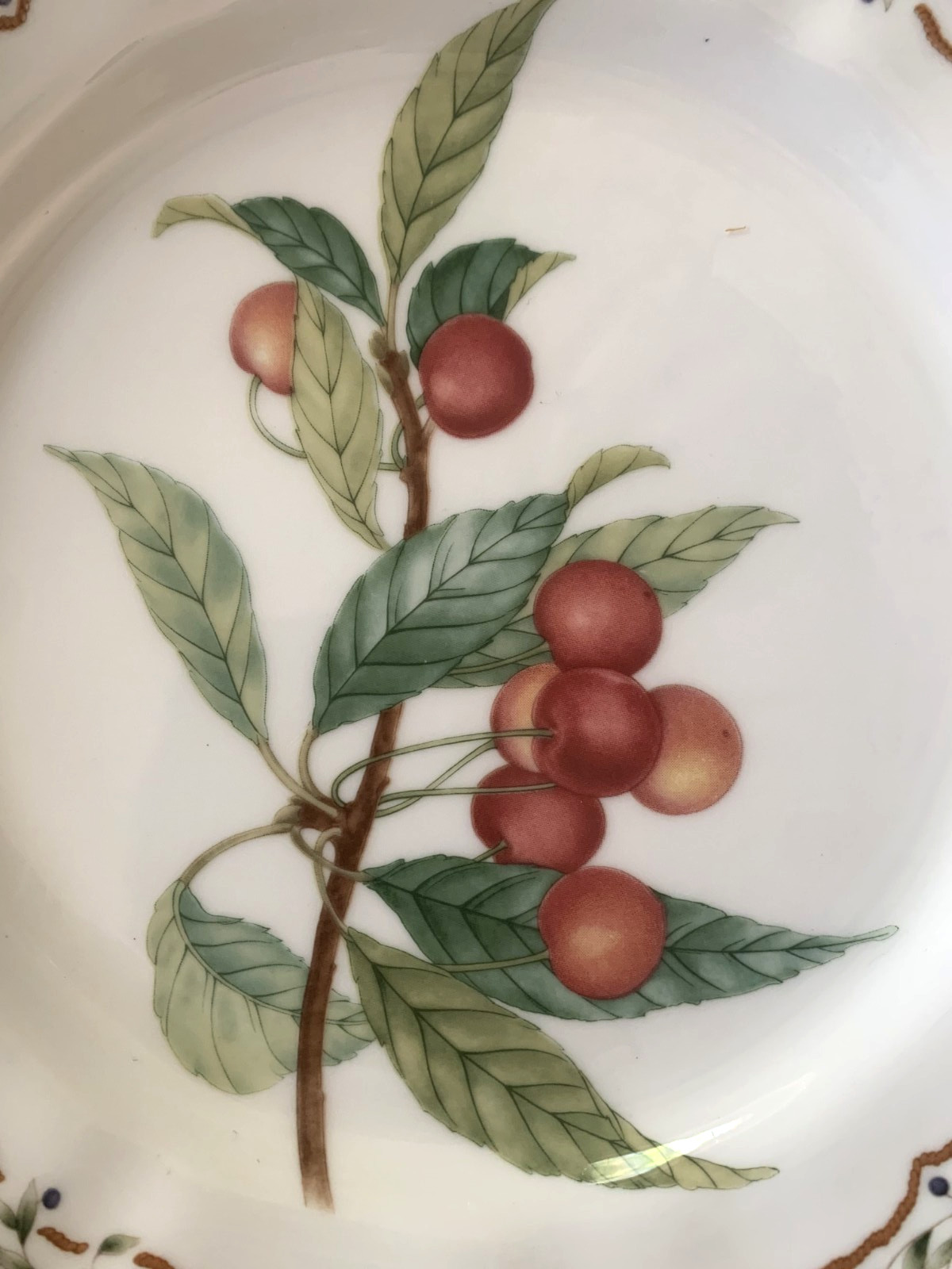 Noritake Casual Gourmet HARVEST Salad Dessert Plates Fruit 8.25″ Laurel Set 5